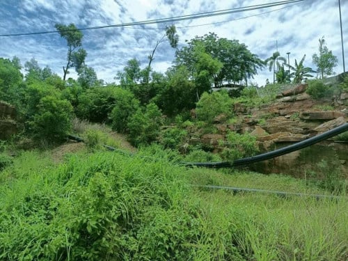 ដីក្រុងព្រះសីហនុ ដីលក់