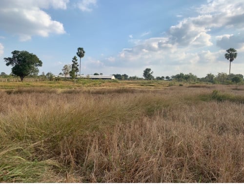 ដី​លក់ នៅឃុំប្រាំបីមុំ​ ស្រុកថ្ពង​ ខេត្តកំពង់ស្ពឺ