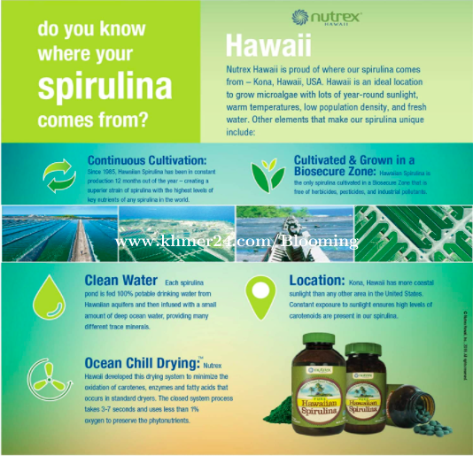 Pure Hawaiian Spirulina 3000 mg., 360 Tablets Price 75.00 in Phnom