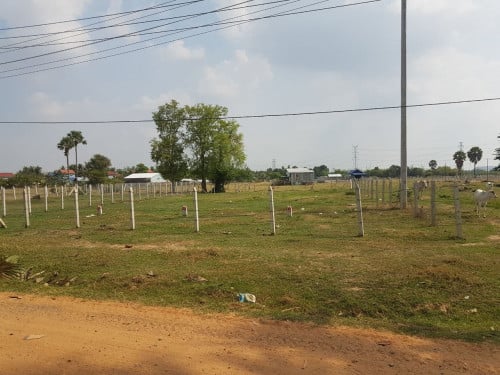 ដីលក់បន្ទាន់លេីផ្លូវ៣០ម៉ែត (ផ្លូវទល់មុខភូមិ៥១)