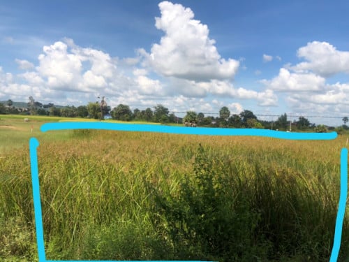 ដីនៅជុំគីរី ខេត្តកំពត គីឡូលេខ83