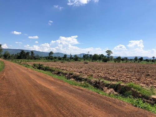 ដីលក់ប្រញាប់