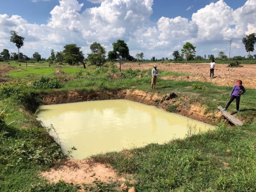 ដីលក់ប្រញាប់