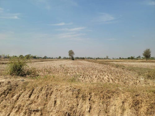 ដីសម្រាប់លក់ ស្ថិតនៅជិតផ្លូវជាតិ 41 និងផ្សារថ្នល់ទទឹង