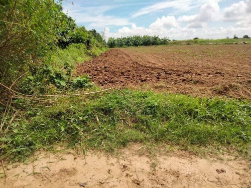 ដីចំការលក់នៅស្រុកខ្សាច់កណ្តាល