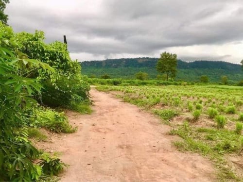 ដីលក់នៅឃុំត្បែងស្រុកបន្ទាយស្រី
