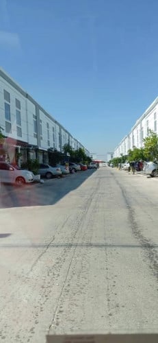 វីឡាកូនកាត់