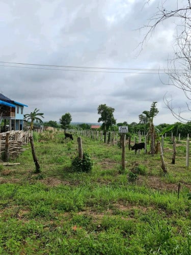 ដីលំនៅដ្ឋានក្នុងក្រុងស្ទឹងត្រែង