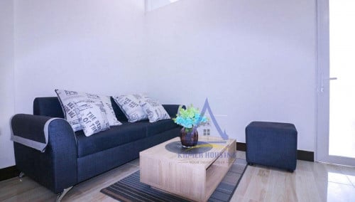 Modern apartment fully furnished 1 bedrooms for rent near Russian Market