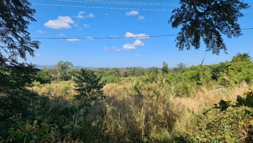 ដីចំការនៅក្នុងក្រុងស្ទឹងត្រែង