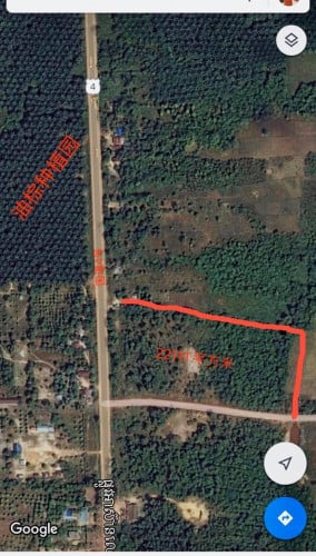 ដីសម្រាប់ជួល For Rent