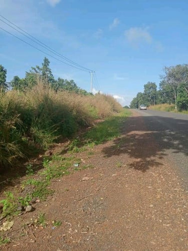 ដីលក់បន្ទាន់50×200