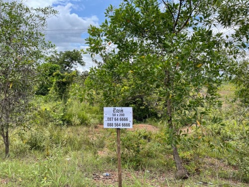 ដីលក់​ ទំហំ​ 50x200