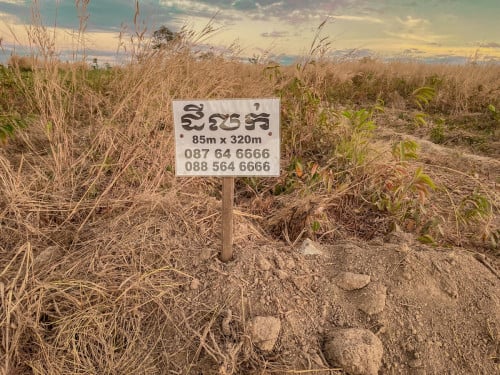 ដីលក់​ ទំហំ​ 87x320