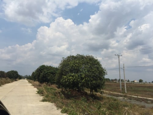 ដីលក់ផ្លូវ20m