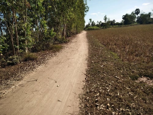 ដីលក់ ម្ចាស់ផ្ទាល់