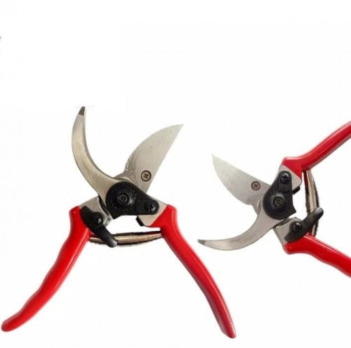 កន្ត្រៃកាត់មែកឈើ Tree Scissors tools