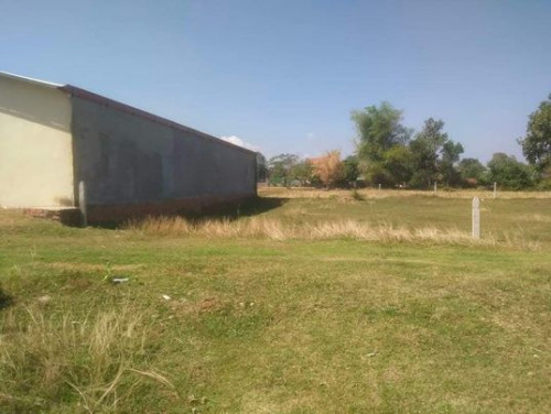 ដីលក់បន្ទាន់