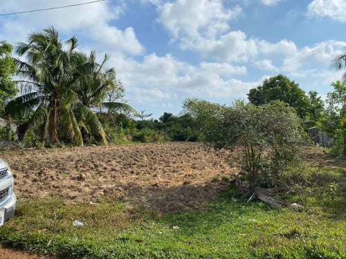 Land for Sale or Rent