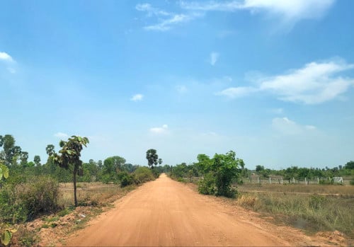 ដីសម្រាប់លក់បន្ទាន់ក្នុងតំលៃពិសេស