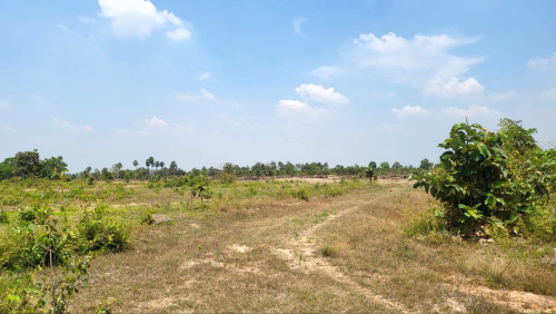 ដីសម្រាប់លក់បន្ទាន់ក្នុងតំលៃពិសេស