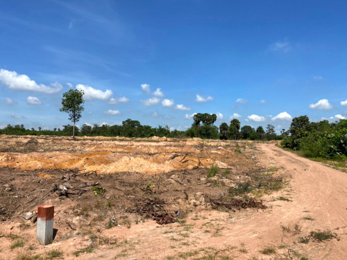 ដីសម្រាប់លក់បន្ទាន់ក្នុងតំលៃពិសេស