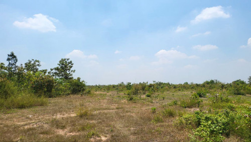 ដីសម្រាប់លក់បន្ទាន់ក្នុងតំលៃពិសេស