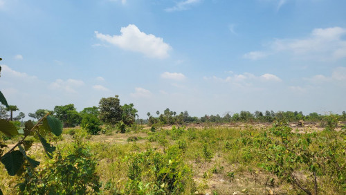 ដីសម្រាប់លក់បន្ទាន់ក្នុងតំលៃពិសេស