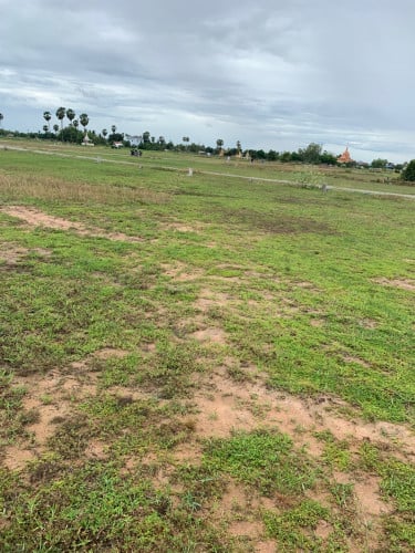 ដីលក់បន្ទាន់ ទំហំ 5m X 20m