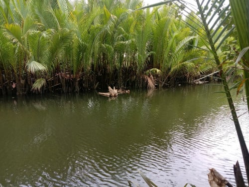 ដីជាប់មាត់ព្រែកចរចា