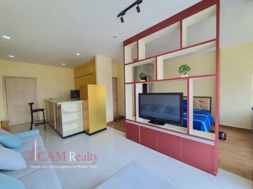 Modern style studio apartment for rent at South – West part of Russian market area