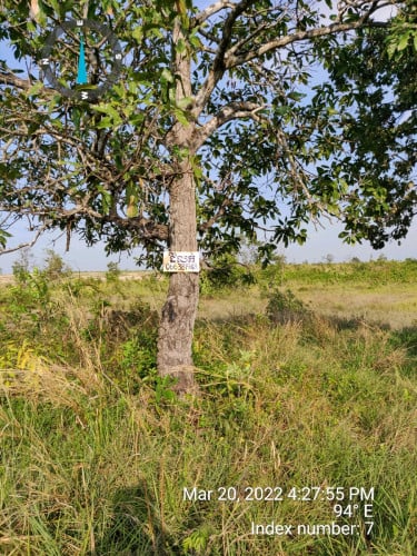 លក់ដីប្រញ៉ាប់ សម្រាប់ចម្ការ ឬលំហែរ ក្បែរភ្នំ និងប្រភពទឹក