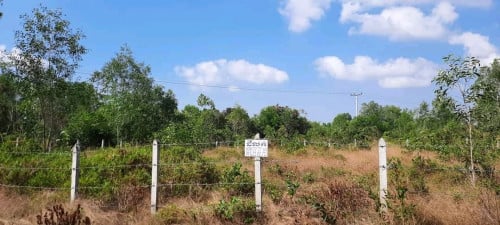 ដីលក់ នៅកែប(អាចចចារបាន)