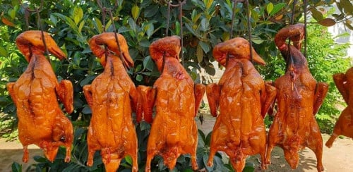 ជ្រូកខ្មែរសុទ្ធ