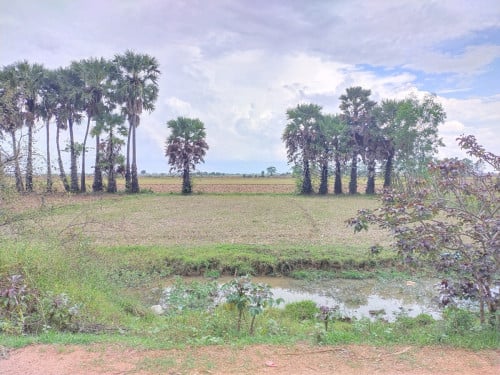 ដីចុះពីផ្លូវអាស៊ាន1800ម