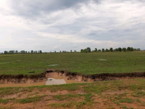 ដីលក់ នៅជិតព្រំដែន (បង្កាន់ដៃប្លង់រឹង) 边境附近待售土地