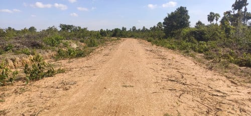 ដីជិតផ្លូវ52 ជិតសាលាក្រុងថ្មី (ឧដុង្គម៉ែជ័យ)