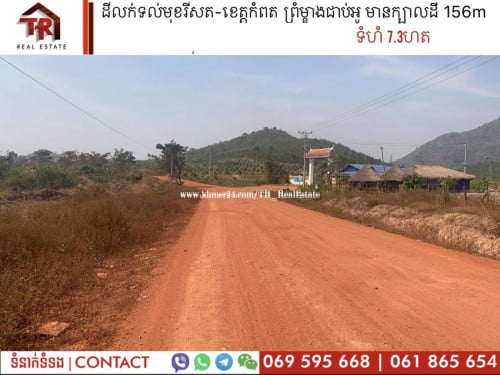 ដីលក់នៅកំពត តាកែនកោះស្លា