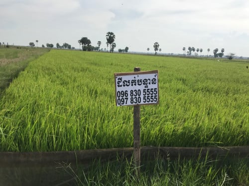 ដីលក់បន្ទាន់ តម្លៃថោកជាងទីផ្សារ ទីតាំងជិតប្រលានយន្តហោះធ្វេីថ្មី