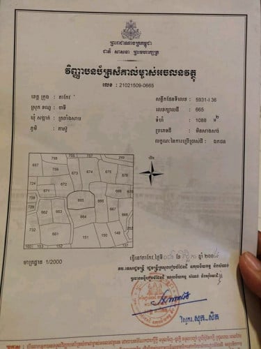 ដីស្រែលក់ប្រញ្ញាប់លុយខ្លាំង ,ទំហំ 1088 m2  បាទី តាកែវ