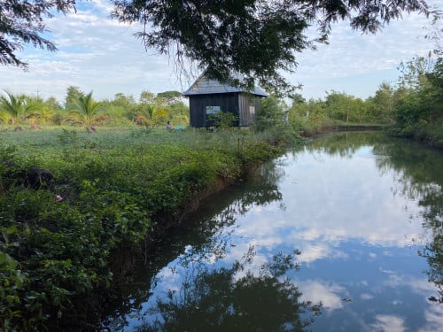 ដីលក់ជាប់ផ្លូវកៅស៊ូ ដីក្បាល36មxបណ្ដោយ61ម
