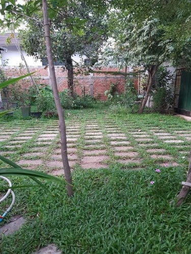 Siem Reap Land for Rent