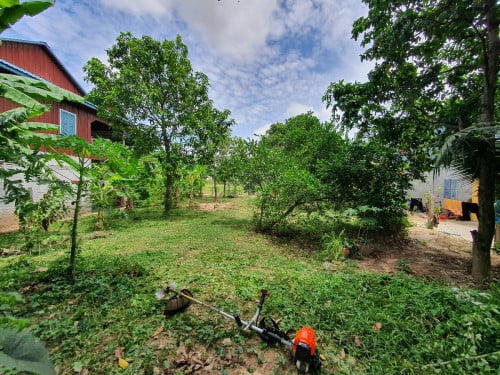 ដីលំនៅដ្ឋាន (ម្ចាស់ផ្ទាល់) ប្លង់ប្រព័ន្ធ