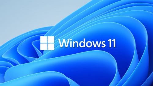 Setup Windows 11
