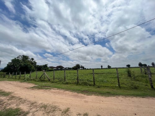 ដីលក់បន្ទាន់