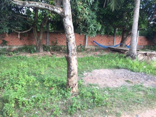 ដីលក់លក់បន្ទាន់ ភូមិជ័យសង្កាត់ទឹកវិល ក្រុងសៀមរាបធ្លាប់លក់12000 មក បញ្ចុះមកនៅ6000