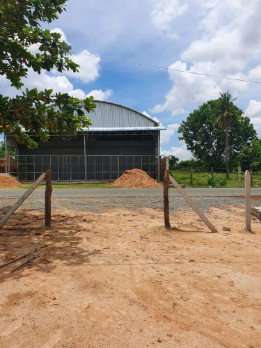 ដីលក់បន្ទាន់ ជាប់ផ្លូវកៅស៊ូរដ្ឋ30m