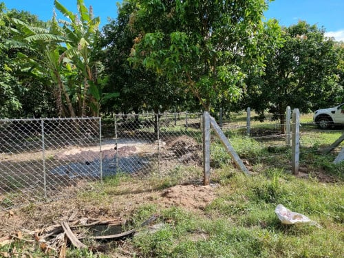 ដីចំការកោះធំលក់បន្ទាន់ក្រោមទីផ្សារ