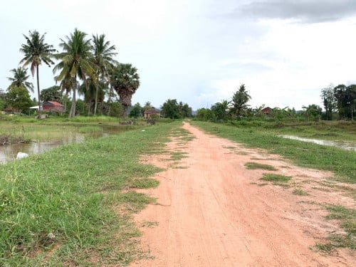 ដីលក់ខេត្តកំពត