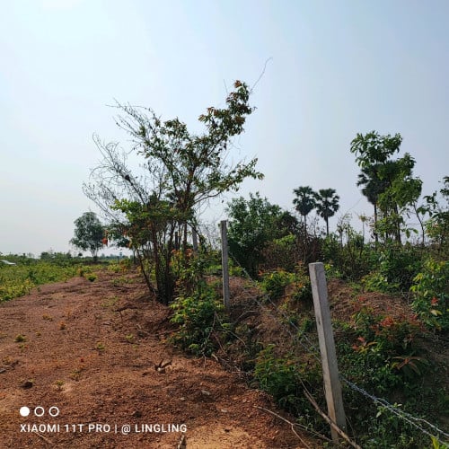 ដីលក់សង្កាត់ស្ពានថ្ម